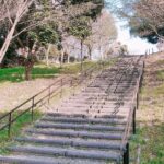 公園の階段
